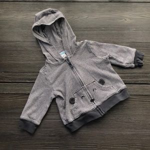 🤑FREE Striped Bear Lightweight Zip Up